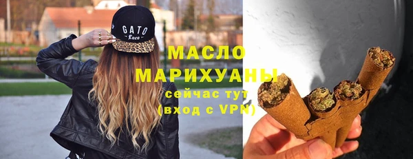 молекула духа Надым