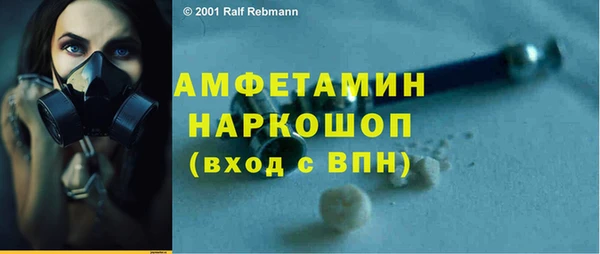 шишки Новозыбков