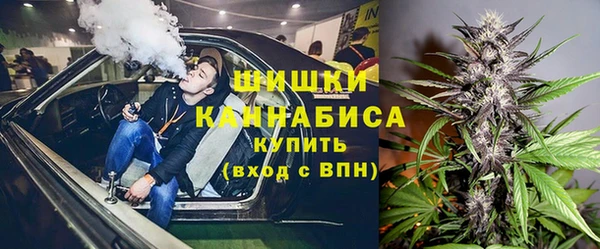 соль ск Нея